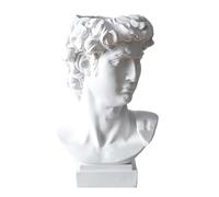 YNPQTDS Vaso David Statua, David Head Statue Vaso, Statua Testa Vaso di fiori Testa David Busto Scultura, David Scultura Testa Decorativa Vaso, David Busto Trucco Brush Holder