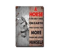 YNRBGDFR Targa in metallo a forma di cavallo, con scritta in lingua inglese "A Horse is The Only Thing On Earth That Loves You More Than He Loves Himself", decorazione da parete vintage per cucina