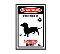 YNRBGDFR Targa in metallo con bassotto, segnale di avvertimento per cani di avvertimento, in alluminio, decorazione da parete per esterni, decorazione per la casa, 20,3 x 30,5 cm, cornice in metallo