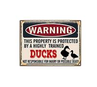 YNRBGDFR Targa in metallo vintage con anatre, divertente cartello da parete, avviso This Property is Protected by Ducks, targa in latta retrò da parete, 30,5 x 40,6 cm