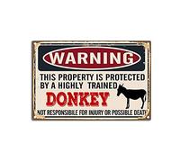 YNRBGDFR Targa in metallo vintage con asino, divertente cartello da parete, avvertimento This Property is Protected by Donkey, targa in latta retrò da parete, 30,5 x 20,3 cm