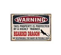 YNRBGDFR Targa in metallo vintage con drago barbuto, divertente cartello da parete, avvertimento This Property is Protected by Bearded Dragon, targa in latta retrò da parete - 30,5 x 20,3 cm