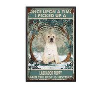 YNRBGDFR Targa in metallo vintage con labrador giallo Once Upon A Time I Picked Up A Labrador Puppy and The Rest is History Coffee Shop Bar Club Decor Art Wall Hanging 20,3 x 30,5 cm, cornice in