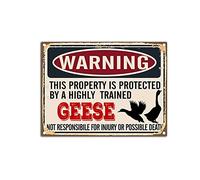 YNRBGDFR Targa in metallo vintage con oche, divertente cartello da parete, avviso This Property is Protected by Geese, targa in latta retrò da parete, 30,5 x 40,6 cm