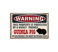 YNRBGDFR Targa in metallo vintage con porcellino d'India, divertente cartello da parete, avvertimento che questa proprietà è protetta da una cavia, targa retrò da parete in latta - 30,5 x 20,3 cm