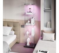 YNYHTER Vetrina in vetro a piedi, vetrina in vetro con luce 1 ante 4 strati vetrina per collezioni vetrina trasparente grande per soggiorno, camera da letto, pub (trasparente nero, 4 strati)