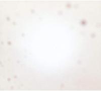 Yo La Tengo There'S a Riot Going on (Vinyl LP)