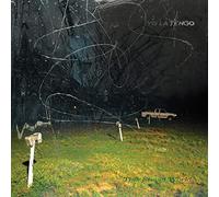 Yo la Tengo - This Stupid World