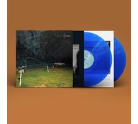 Yo La Tengo This Stupid World (Vinyl LP)