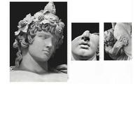 Yocheng Poster con scultura del corpo della mitologia greca,stampe della storia greca antica,dipinti su tela,quadri da parete,decorazioni per la casa e il soggiorno. 40x60cmx3 Senza Cornice