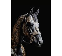 Yocheng Poster di animali in nero e oro, aquila, leone, carpa, lupo, stampa su tela, poster, decorazione da parete, pittura, decorazione per la casa 50x70cm Senza Cornice