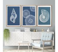Yocheng Stampa su tela di un dipinto antico di conchiglie,stelle marine,meduse,conchiglie,mare,costa blu,arte murale per la camera dei bambini,arredamento per la casa 30x40cmx3 Senza Cornice