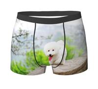 YOFIEN Bichon Frise Park Pets Dogs Bichon Frise Dogs, Intimo da Uomo, Boxer, Comodi, Morbidi ed Elasticizzati per Uomo