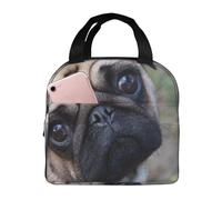 YOFIEN Borsa termica ispessita per il pranzo, riutilizzabile e a prova di perdite, con simpatico carlino che ti guarda