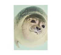 YOFIEN Foca sottomarina - Quadro da tavolo/parete per camera da letto - Poster e stampe artistiche decorative 30x40 cm