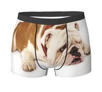 YOFIEN Fotografia di Bulldog Inglese Triste e Stanco con Crema Marrone, Slip Boxer da Uomo Comodi e Morbidi Elasticizzati per Uomo