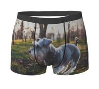 YOFIEN Miniature Schnauzer Lawn Pets Cani Grigi, Intimo Uomo Boxer Slip Comfort Morbido Elasticizzato per Uomo