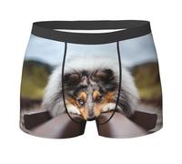 YOFIEN Rough Collie Bokeh Railway Dogs Pets Rough, Intimo da Uomo, Boxer, Comodi, Morbidi ed Elasticizzati per Uomo