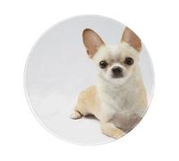 YOFIEN Tappetino per mouse rotondo da 8 e 8 pollici con bordo cucito, animali isolati, mammiferi di razza pura, Chihuahua