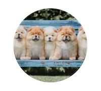 YOFIEN Tappetino per mouse rotondo da 8 e 8 pollici con motivo a cinque cuccioli di Chow-Chow con bordo cucito