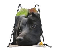 YOFIEN Zaino con coulisse e cordoncino per cani Labrador nero, camomilla, Retriever nero, resistente all'acqua, per donne e uomini, zaino sportivo da palestra