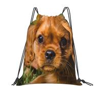 YOFIEN Zaino con coulisse e tracolla resistente all'acqua, per donne e uomini, con motivo Cavalier King Charles Spaniel Brown Curly Dogs, per palestra e sport