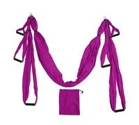 Yoga Cinturino Amaca Antigravity Altalena, Amaca Aerea per Yoga, Flessibilità Assist Traine, Set Altalena Aerea per Yoga con Custodia, Moschettoni, Kit per Principianti Yoga per Tutti i Livelli