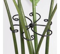 Yohsnor Monstera - Gancio di supporto per piante, 10,4 x 10,4 cm, 5 pezzi, sistema di supporto regolabile durevole, protezione delicata per Monstera e cactus a lisca di pesce, stabilizzatore