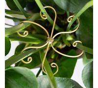 Yohsnor Monstera - Gancio di supporto per piante da 16,5 cm, 5 pezzi, stabilizzatore per piante da interno, facile da installare, set da 5 pezzi, ideale per il supporto delle foglie di tartaruga