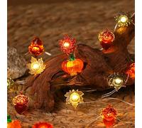 Yoitomehy Luci autunnali 3 m 30 LED decorazione del Ringraziamento a batteria ghianda 3D zucca foglie d'acero luci autunnali per la casa autunno ghirlanda raccolta festa di Halloween Natale