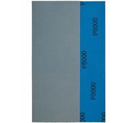YoiYee 10 fogli di carta abrasiva Wet & Dry, 230 x 93 mm, grana 5000, carta abrasiva al carburo di silicio, retro impermeabile