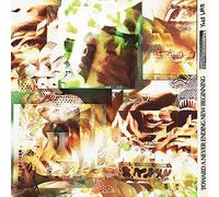 Yoke Lore - Toward a Never Ending New Beginning