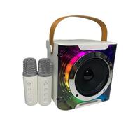 Yominerr Altoparlante Bluetooth Karaoke Ad Alta Potenza con Musica Ritmica, Luce Stereo Surround, Subwoofer Wireless con Doppio Microfono,