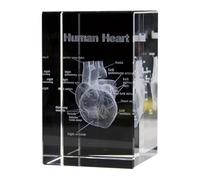 Yominerr Cuore di Modello Cubo 3D al Figurine Anatomiche Regali Souvenir Scienza Medica Decorazione Fermacarte