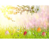 YongFoto 1,5x1m Vinile Fondale Foto Pasqua Uova Sul Ramo di Erba Verde Con I Raggi Del Sole Fiori Bianchi Sfondo Fotografico Photo Booth Partito Banner Bambini Photo Studio Puntelli