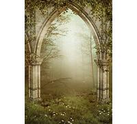 YongFoto 1x1,5m poliestere Sfondo Fotografico Rovine Gotiche Porta di Pietra Foresta da Favola Nebbia Giardini Incantati Fondale Foto Photo Booth Partito Banner Bambini Photo Studio Puntelli