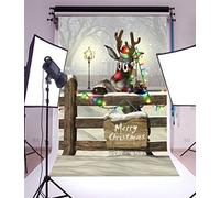 YongFoto 1x1,5m Vinile Fondale Foto natale Buon Natale Poster Renna di Natale Luci a corda Lampada da strada Winter Wonderland fondale fotografico Bambini Sfondo Fondali Fotografia