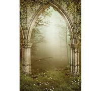 YongFoto 1x1,5m Vinile Sfondo Fotografico Rovine Gotiche Porta di Pietra Foresta da Favola Nebbia Giardini Incantati Fondale Foto Photo Booth Partito Banner Bambini Photo Studio Puntelli