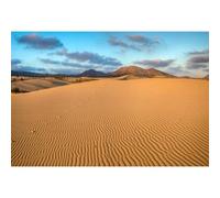 YongFoto 2,2x1,5m Deserto Sfondo Dune di sabbia infinite Arbusti Impronte Paesaggi naturali Sfondi fotografici per esotici Tema dei viaggi occidentali Accessori fotografici per studio