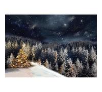 YongFoto 2,2x1,5m Fotografia Scenografia per l'inverno Luminosa Albero di Natale Pineta La neve Luccica Notte Foto Sfondo invernale per la fotografia Natale Nuovo anno Festa Foto