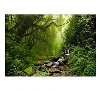 YongFoto 2,2x1,5m Vinile Fondale Foto Foresta tropicale della giungla Fiume Acqua cristallina Pietre muscolose Sfondo fotografico Photo Booth Partito Bambini Photo Studio Puntelli
