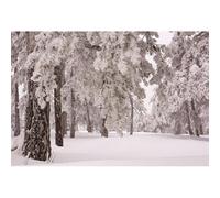 YongFoto 2,2X1,5m Vinile Sfondo Fotografico Natale sulla neve Alberi Forte nevicata WinterHappy New Year Fondale Foto Festa Bambini Boby Nozze Adulto Partito Studio Fotografico Puntelli