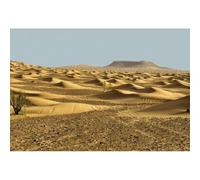 YongFoto 2,5x1,8m Scenario naturale Fondale Paesaggio di increspature del deserto Dunes nel Sahara Fotografia Sfondo Nozze Data Amante In viaggio Foto Ritratto puntelli