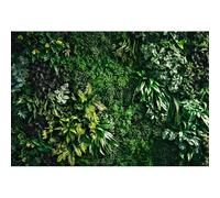 YongFoto 2,5x1,8m Sfondo fotografico con parete di foglie Natura Foglie verdi Giardino Streaming in diretta Matrimonio Sfondo per Scenario botanico Decorazioni per feste Bambini fotografico ritratti