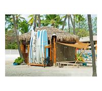 YongFoto 2,5x1,8m Sfondo spiaggia estiva Palla da surf casa in legno esterna sfondo foto decorazione viaggi hawaiani per studio fotografico per ritratti