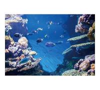 YongFoto 2,5x1,8m Undersea World fondale Rock Stones Fish coral Blue Sea Water fondali per fotografia Ocean arredamento carta da parati in foto sfondo ragazzi ragazze estate viaggio studio puntelli