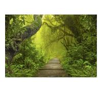YongFoto 2,5x1,8m Vinile Fondale Foto Vista delle giungle della foresta verde Grandi vecchi alberi Sentiero di legno stretto Sfondo fotografico Fotografia Sfondo Studio Prop Decorazione