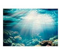 YongFoto 2,5x1,8m Vinile fondali fotografici Acquario Sfondo di luce solare subacquea Pesci coralli Sfondo foto Studio Fotografico Partito compleanno Fondale foto Accessori