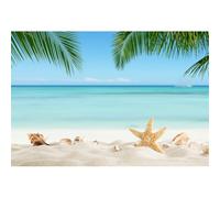 YongFoto 2,5x1,8m Vinile fondali fotografici Spiaggia sabbiosa Conchiglie di stelle marine Foglie di palma da cocco Mare calmo Sfondo foto Studio Fotografico compleanno nozze Fondale foto Accessori