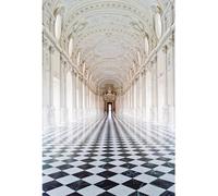 YongFoto 2,5x3m Sfondo Fotografico Castello Palazzo lusso Carving Embossment Wall Pittura in marmo bianco e nero Europeo Archiculture Interni Fondale Foto Festa Boby Nozze Partito Studio